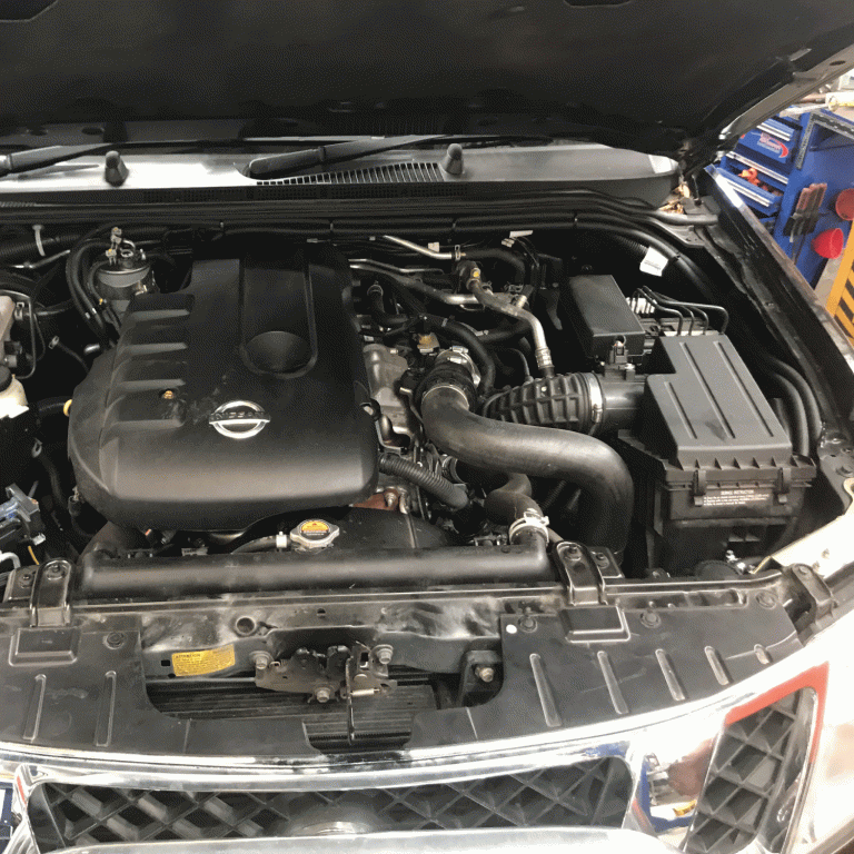 Nissan Navara D40 (20052015) Primary (PRE) Fuel Filter Kit Brown